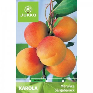 Meruňka KAROLA