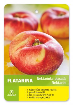 Nektarinka FLATARINA