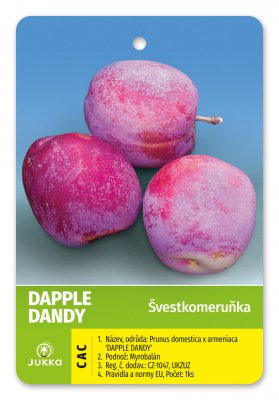 Švestkomeruňka DAPPLE DANDY