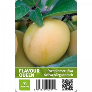 Švestkomeruňka FLAVOR QUEEN