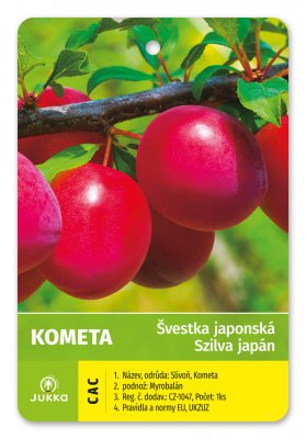 Japonská švestka KOMETA