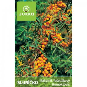 Rakytník řešetlákový SLUNÍČKO - samice