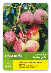 Oskeruše  40-60 cm - kontejner