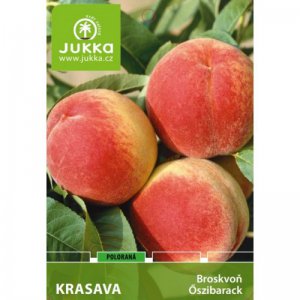 Broskvoň KRASAVA