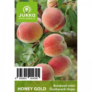 Broskvoň zakrslá mini  HONEY GOLD - kontejner