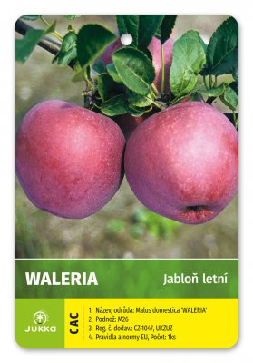 Jabloň WALERIA