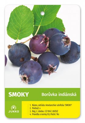 Indiánská borůvka Amelanchier SMOKY