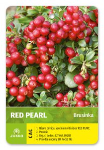 Brusinka - RED PEARL