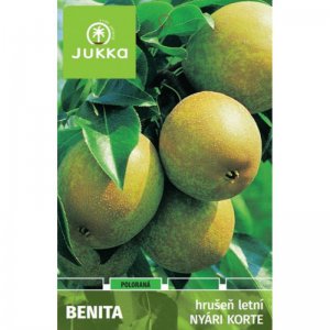 Hrušeň BENITA - kontejner