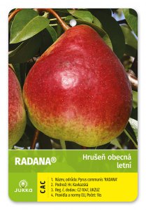 Hrušeň RADANA - kontejner