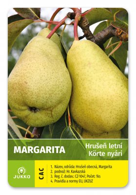 Hrušeň MARGARITA - kontejner