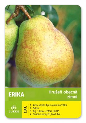 Hrušeň ERIKA - kontejner