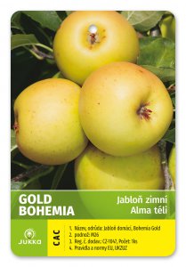 Jabloň GOLD BOHEMIA - kontejner C4L