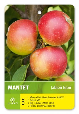 Jabloň MANTET - kontejner