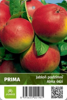 Jabloň PRIMA - kontejner