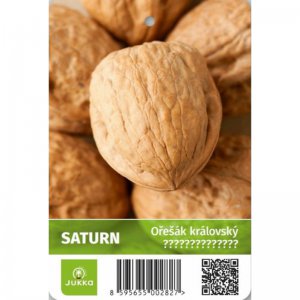 Ořešák SATURN - kontejner