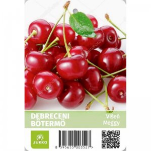 Višeň DEBRECENI BÖTERMO - kontejner