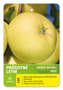 Jabloň PRŮSVITNÉ LETNÍ - kontejner