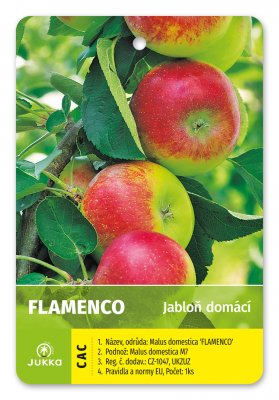 Jabloň sloupovitá FLAMENCO - kontejner