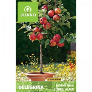 Jabloň zakrslá DELEGRINA
