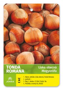 Líska stromová TONDA ROMANA - kontejner