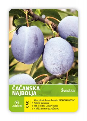 Švestka ČAČANSKÁ NAJBOLJA