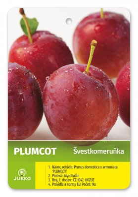 Švestkomeruňka PLUMCOT