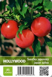 Japonská švestka HOLLYWOOD