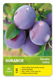 Švestka DURANCIE