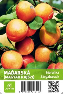 Meruňka MAĎARSKÁ - kontejner