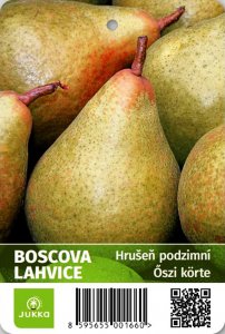 Hrušeň BOSCOVA LAHVICE - kontejner