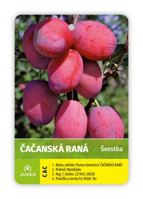 Švestka ČAČANSKÁ RANÁ - kontejner