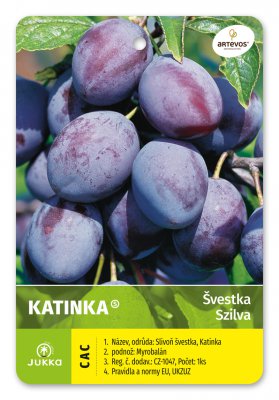 Švestka KATINKA - kontejner