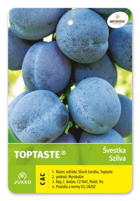 Švestka TOP TASTE - kontejner