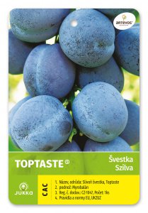 Švestka TOP TASTE - kontejner