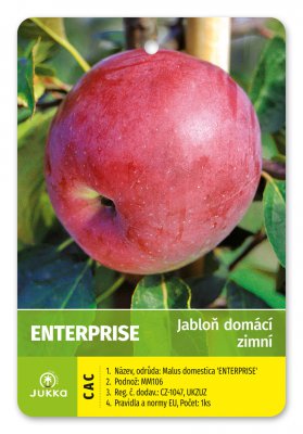 Jabloň ENTERPRISE - kontejner