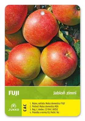 Jabloň FUJI - kontejner